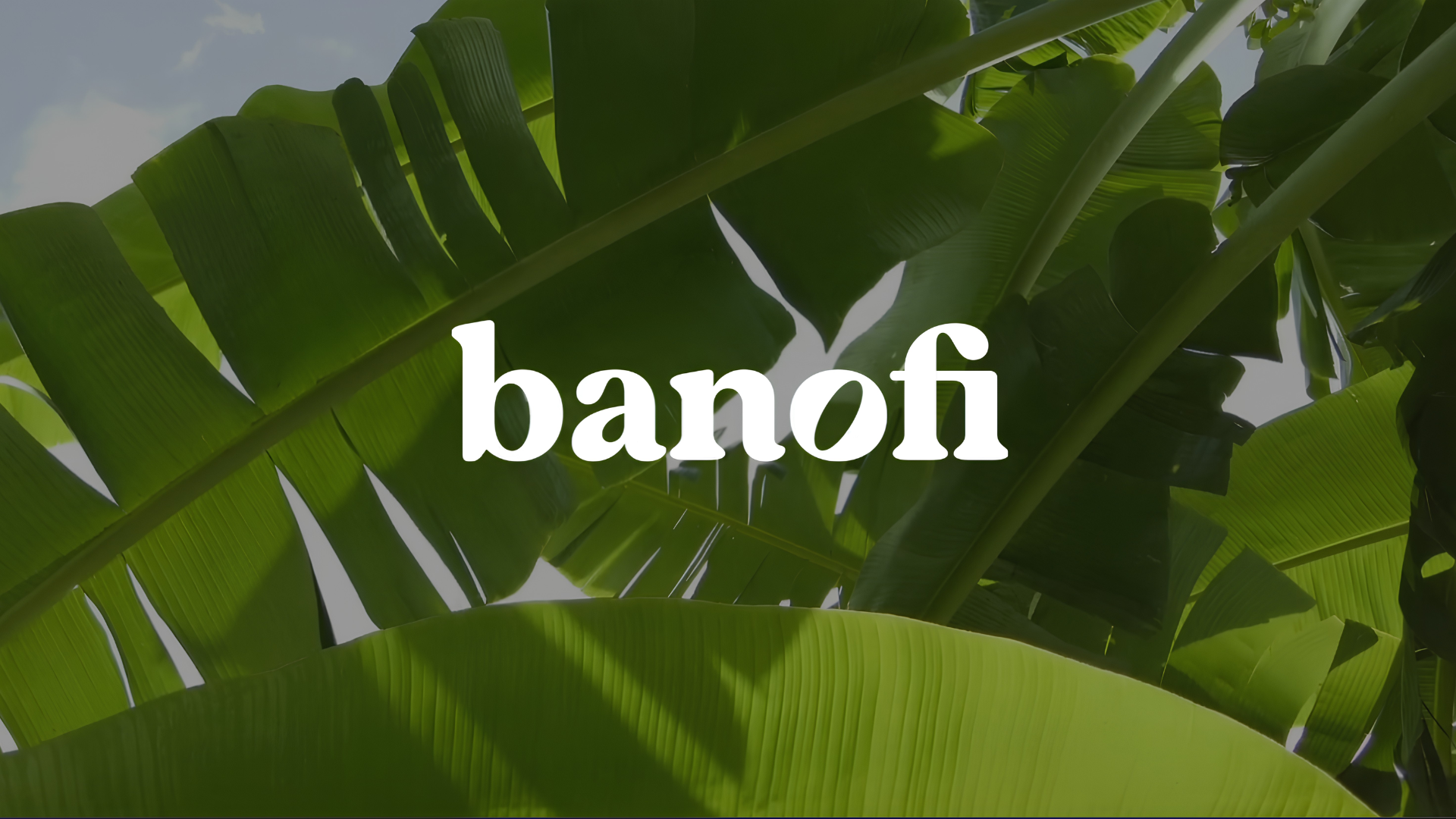 Banofi Biomaterials project cover